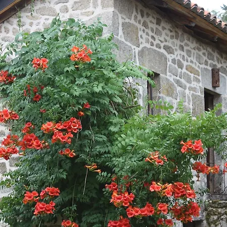 Cantal'temps Bed & Breakfast 3*